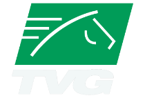 Tvg Logo